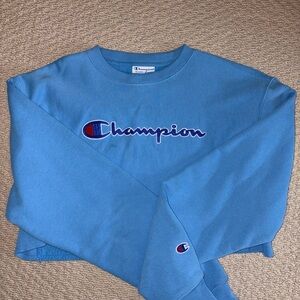 Champion Reverse Weave Cropped Pullover